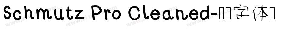 Schmutz Pro Cleaned字体转换